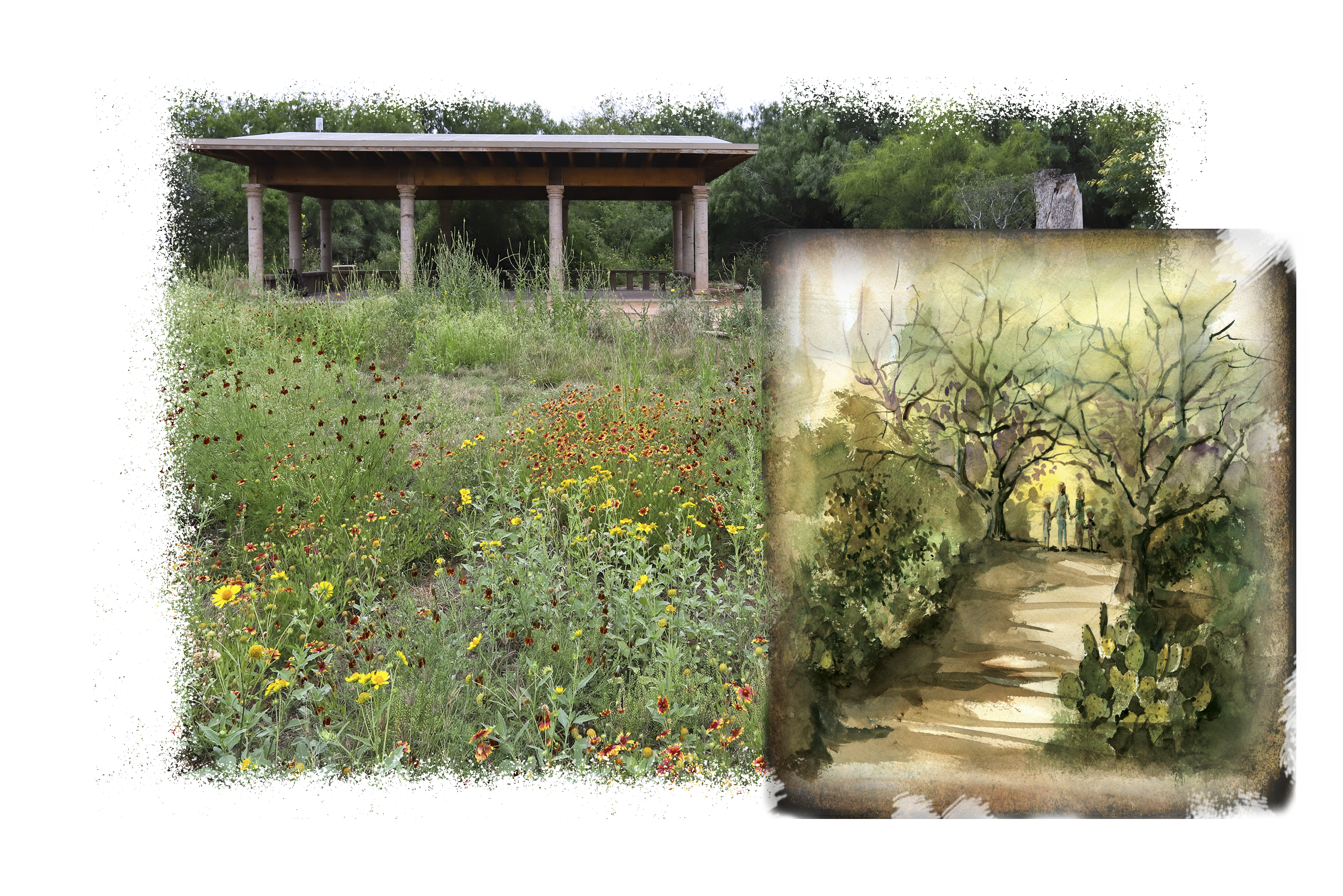 DonateImage Show Your Support CUE Ecology copy