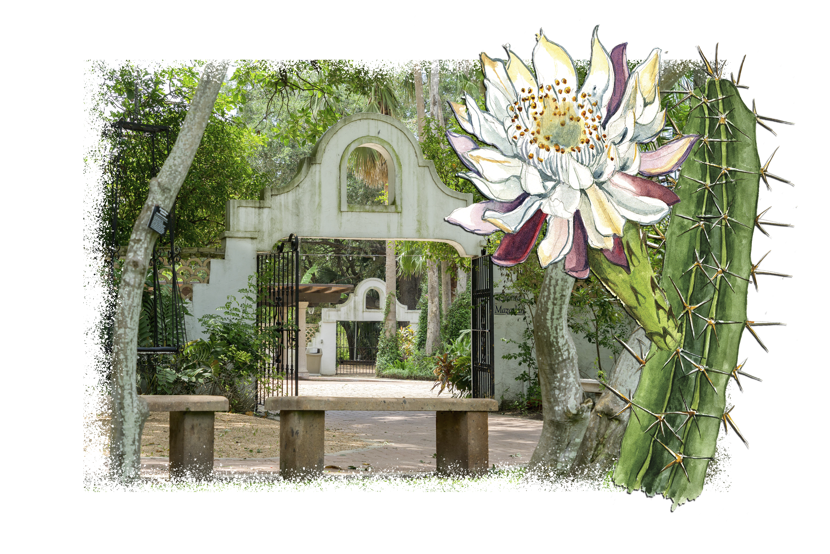 DonateImage Show Your Support Image On Site w Cereus copy